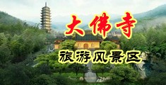 B网站免费操逼视频中国浙江-新昌大佛寺旅游风景区